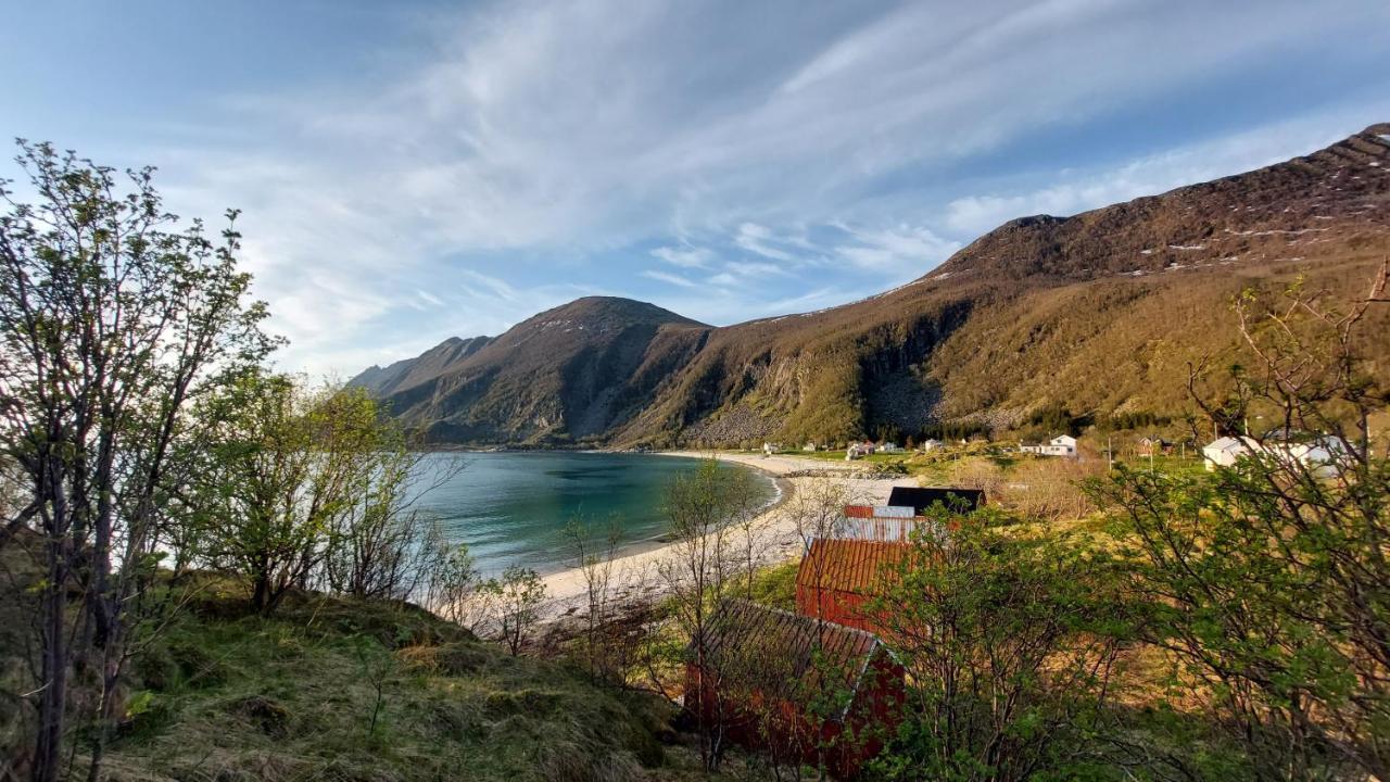 Holiday Home On Senja Senjahopen Bagian luar foto